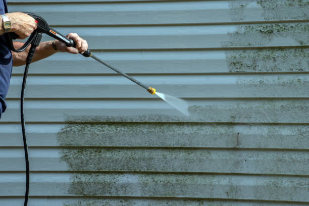 Best Patio and Deck Pressure Washing  in Clifton, TN